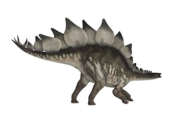 Image showing Dinosaur Stegosaurus