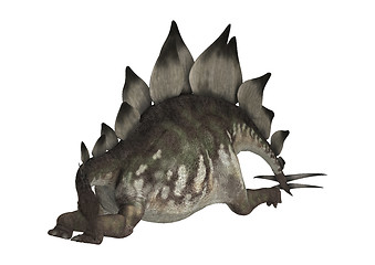 Image showing Dinosaur Stegosaurus