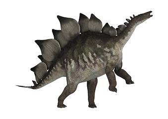 Image showing Dinosaur Stegosaurus