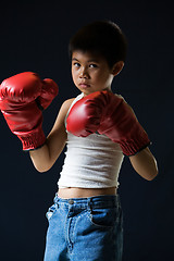 Image showing Little boy boxer