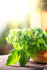 Image showing Fresh organic basil