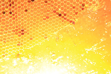 Image showing honey in wax cells background 