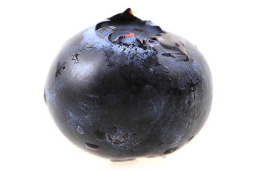 Image showing fresh blueberry isolated\r\n