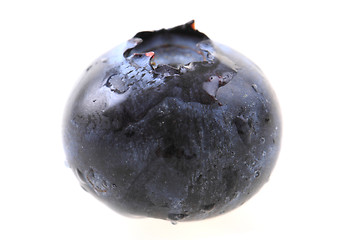 Image showing fresh blueberry isolated\r\n