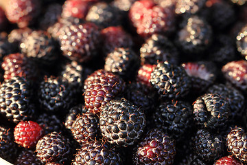 Image showing fresh blackberries background