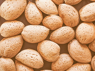 Image showing Retro looking Almond fruit