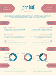 Image showing Cool light modern resume cv template