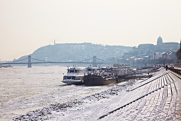 Image showing Winter Danube