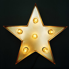 Image showing Decorative star with light bulbs