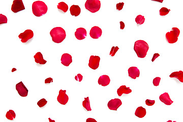Image showing close up of red rose petals