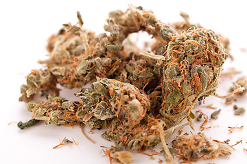 Image showing Close up Dried Marijuana Leaves on the Table