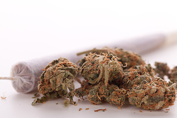 Image showing Close up of dried marijuana leaves and joint