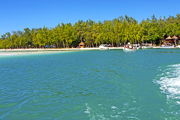 Image showing beach ile du cerfs seaweed in pier   sand isle  sky and rock