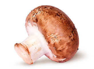 Image showing One whole brown champignon