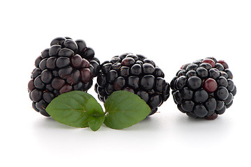 Image showing Blackberries with leaves