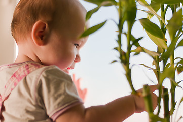 Image showing Girl with bamboo 