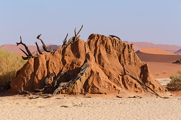 Image showing Sossusvlei beautiful landscape of death valley