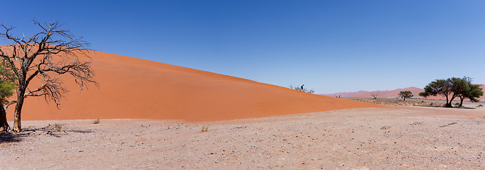 Image showing Dune 45 in sossusvlei Namibia with dead tree