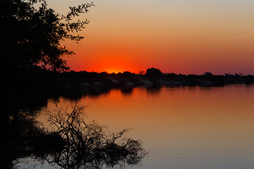 Image showing African sunset on Zambezi