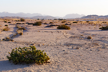 Image showing fantastic Namibia desert landscape