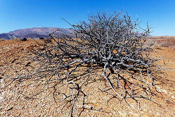 Image showing fantrastic Namibia desert landscape