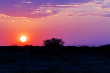 Image showing African sunset with tree