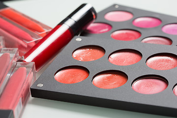 Image showing a set of professional makeup artist. Different Lipstick