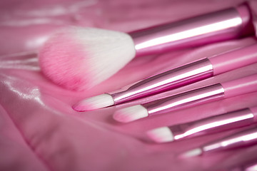 Image showing pink professional cosmetic brush 