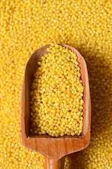 Image showing raw yellow millet