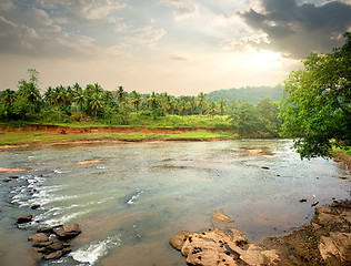 Image showing River in jungle