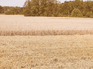 Image showing Retro looking Harvest