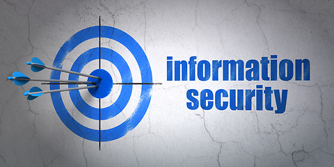 Image showing Security concept: target and Information Security on wall background