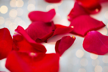 Image showing close up of red rose petals