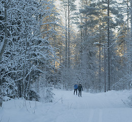 Image showing Norwegian winter landscape