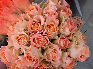 Image showing Bunch of roses