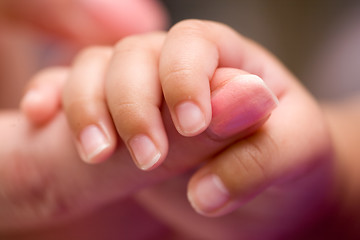 Image showing Tiny fingers