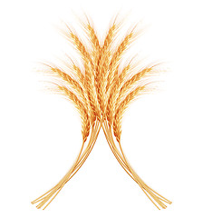 Image showing Wheat ears with space for text. EPS 10