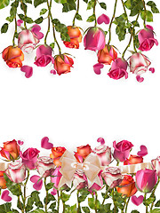 Image showing Roses and heart shape Petals. EPS 10