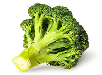 Image showing Large inflorescences of fresh broccoli bottom view