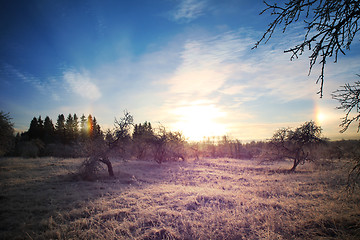 Image showing Cold winter landscape with bright sunset and blue sky