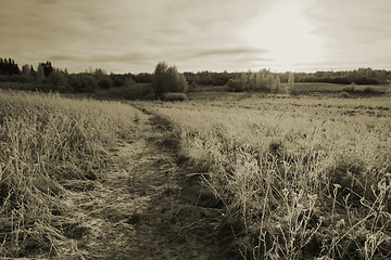 Image showing Path in cold winter field. Sepia effect landscape