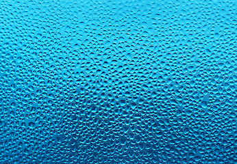 Image showing Water drops on glass