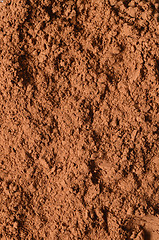 Image showing Raw organic carob powder