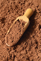 Image showing Raw organic carob powder