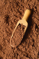 Image showing Raw organic carob powder