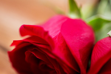 Image showing close up of red rose flowers
