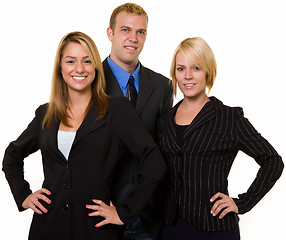 Image showing Smiling Business team