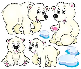 Image showing Polar bears theme collection 1