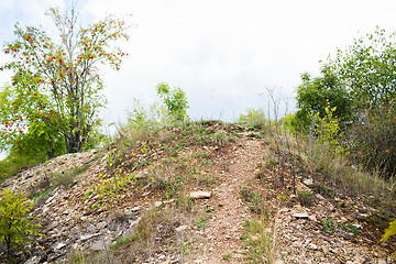 Image showing close up of rocky hill and trees