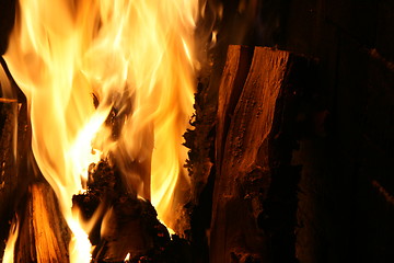 Image showing Burning fireplace
